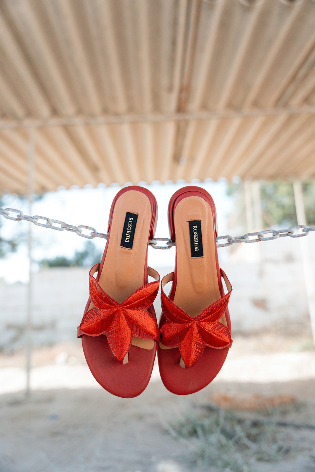 Mule Palm Rojo