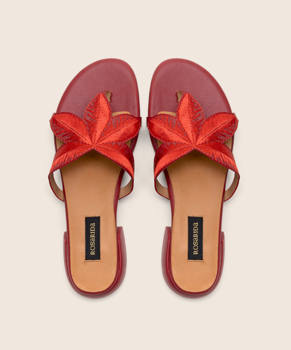 Mule Palm Rojo - frontal