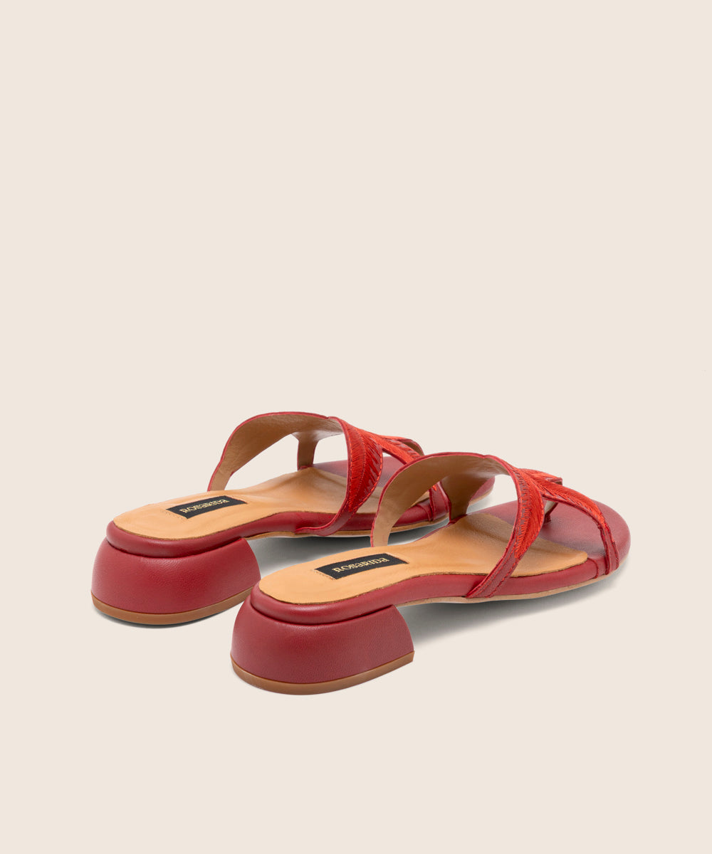 Mule Palm Rojo - trasera